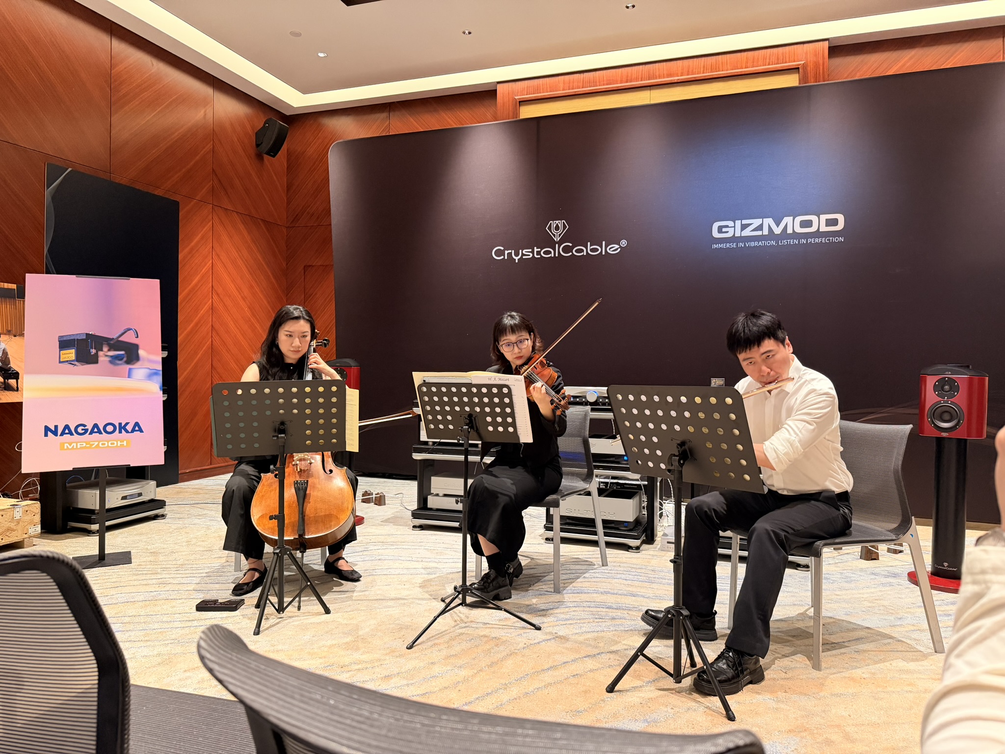 Orchestra playing photo